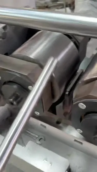 Standard Pitch Thread Rolling Die for Common Screw Production 